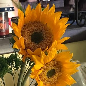 Meet your Posher, Makenna